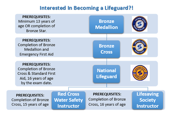 Chart visualizing the path to become a lifeguard.
