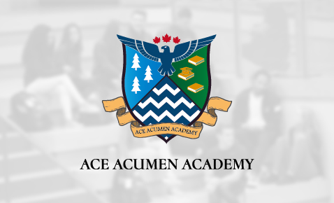 Ace Acumen Academy